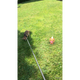 Illustration for article titled How To Play Pokémon Go